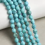 Dyed Natural Howlite Beads Strands