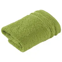 Vossen RUČNÍK PRO HOSTY, 30/50 cm, zelená