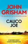 Calico Joe - John Grisham