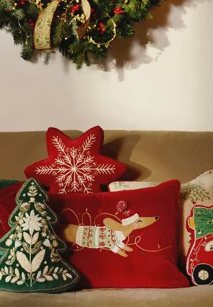 Dekorativní povlak na polštář Medicine vínová barva