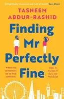 Finding Mr Perfectly Fine - Abdur-Rashid Tasneem