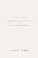 The Nature of Consciousness - Rupert Spira
