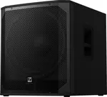 Electro-Voice EVIVA 18SP