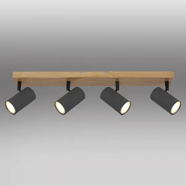 Svítidlo 57911-4G  LS4