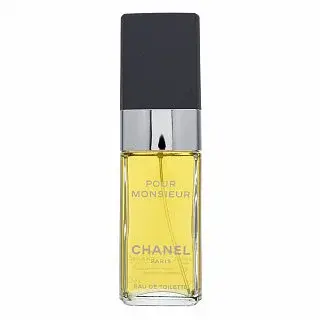 Chanel Pour Monsieur toaletní voda pro muže 100 ml