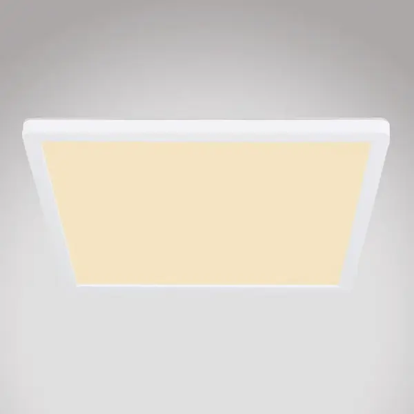 Stropní svítidlo 41563-24W LED bílý PL
