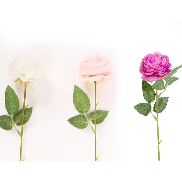 Růže o 7cm 50cm mix 442652