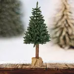 Smrek na kmeni 220 cm