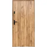 Vchodové dveře Artemida P55 90P Dub Sonoma