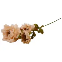 Umelý kvet Paeonia 66 cm broskyňová A2010663