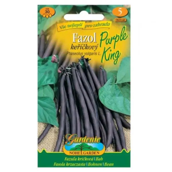 Fazuľa kríčková Purple King, fialová