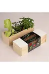 Sada na pěstování rostlin RESETEA Hamburger Growing Kit 21 x 7,8 x 6,5 cm více barev