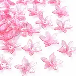 Transparent Acrylic Beads