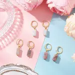 3 Pairs 304 Stainless Steel Natural Mixed Stone Leverback Earrings