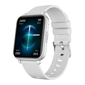 NICEBOY Watch 4 Artic silver