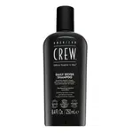 American Crew Daily Silver Shampoo šampón pre šedivé vlasy 250 ml