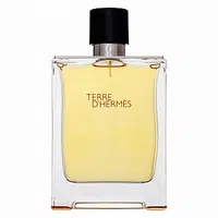 Hermes Terre D'Hermes čistý parfém pre mužov 200 ml