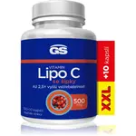 GS Lipo C 500 mg so šípkami kapsuly na podporu imunitného systému 110 cps