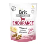 Brit Care Dog Functional Snack Endurance Lamb 150g