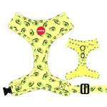 Reedog AVOCADO | Postroj pre psa - XXS
