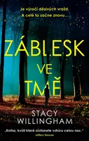 Záblesk ve tmě - Stacy Willingham