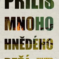 Příliš mnoho hnědého peří - Walter Slovo - e-kniha