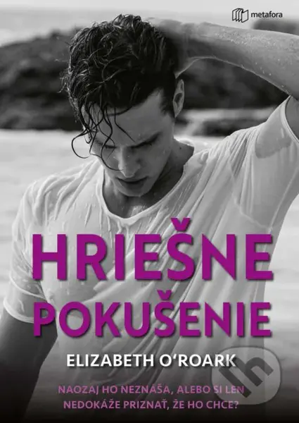 Hriešne pokušenie (Naozaj ho neznáša alebo si len nedokáže priznať, že ho chce?) - kniha z kategorie Romantická