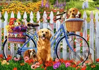 Psí dobrodružství - puzzle z kategorie Zvířata