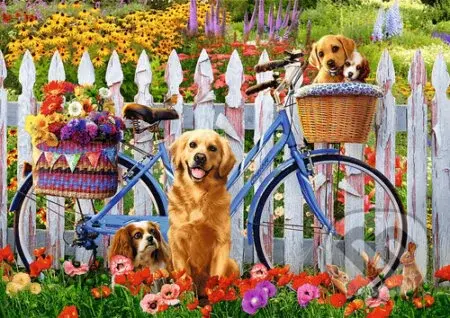 Psí dobrodružství - puzzle z kategorie Zvířata