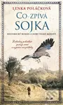 Co zpívá Sojka (Záhadný pohádkář putuje zemí a vypráví své příběhy) - kniha z kategorie Beletrie