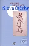 Slova útěchy - Johannes Mollehave - kniha z kategorie Filozofie