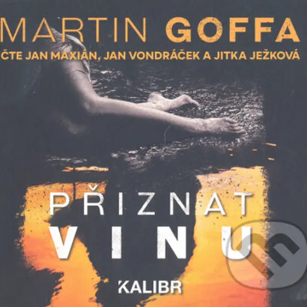 Přiznat vinu - Martin Goffa - audiokniha z kategorie Detektivky, thrillery a horory