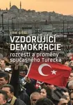 Vzdorující demokracie (rozcestí a proměny současného Turecka) - kniha z kategorie Historie
