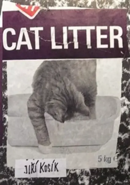 Cat Litter - Jiří Kosík