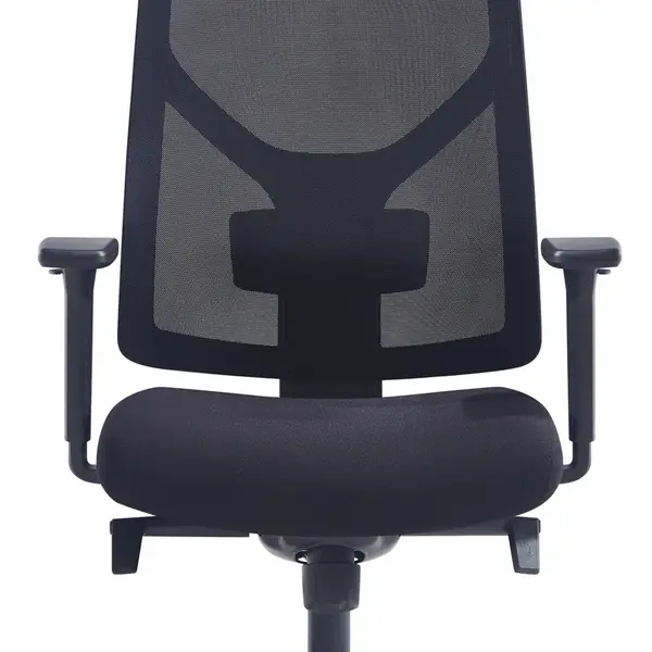 MERCURY Ergonomická kancelářská židle ARES černá, vysoké postavy, sezení 8 hodin denně