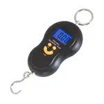 Váha závesná digitálna do 40kg PORTABLE AG199