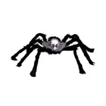 Guirca Dekoračný pavúk s lebkou 60cm