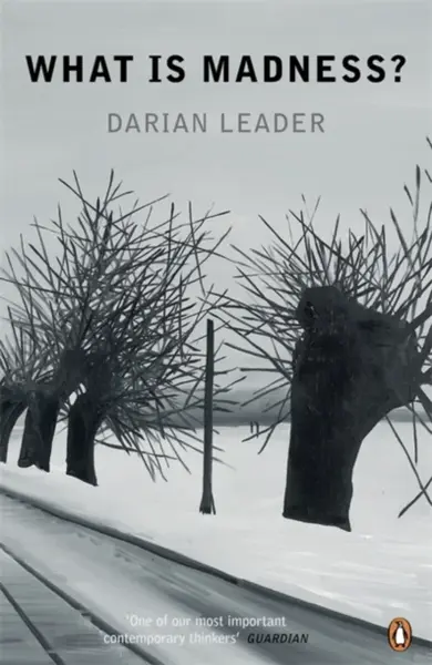 What is Madness? - Darian Leader