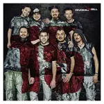 Divokej Bill - 15 (Vinyl LP)