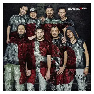 Divokej Bill - 15 (Vinyl LP)
