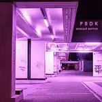 Komisař Raptor – Příběhy bez dobrýho konce