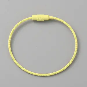 Baking Paint Stainless Steel Cable Wire Keychain