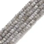 Natural Freshwater Shell Dyed Beads Strands