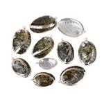 Electroplate Natural Paua Shell Pendants