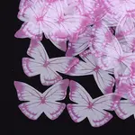 Organza Fabric