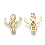 Brass Micro Pave Cubic Zirconia Charms