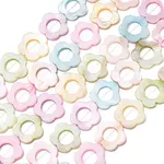 Dyed Natural Freshwater Shell Beads Strands