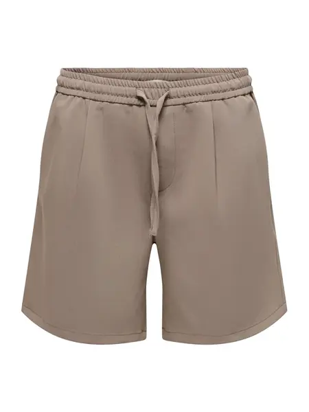 Only & Sons Plisované nohavice 'ONSWill'  mokka