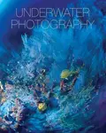 Underwater photography - Vincenzo Paolillo