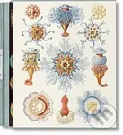 The Art and Science of Ernst Haeckel - Rainer Willmann, Julia Voss